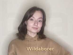 Wildaborer
