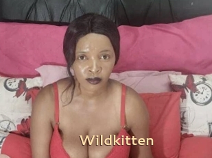Wildkitten