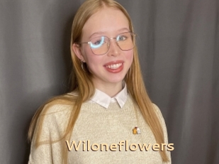 Wiloneflowers