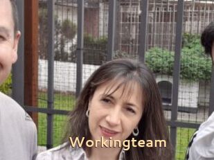 Workingteam