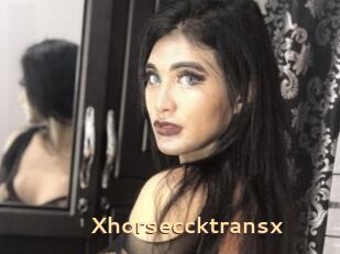 Xhorseccktransx