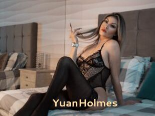YuanHolmes