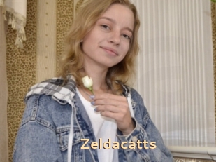 Zeldacatts