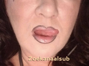 Zoekanaalsub