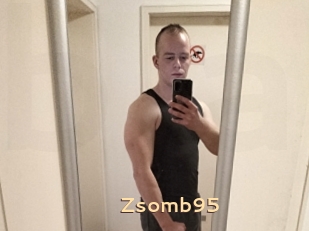 Zsomb95